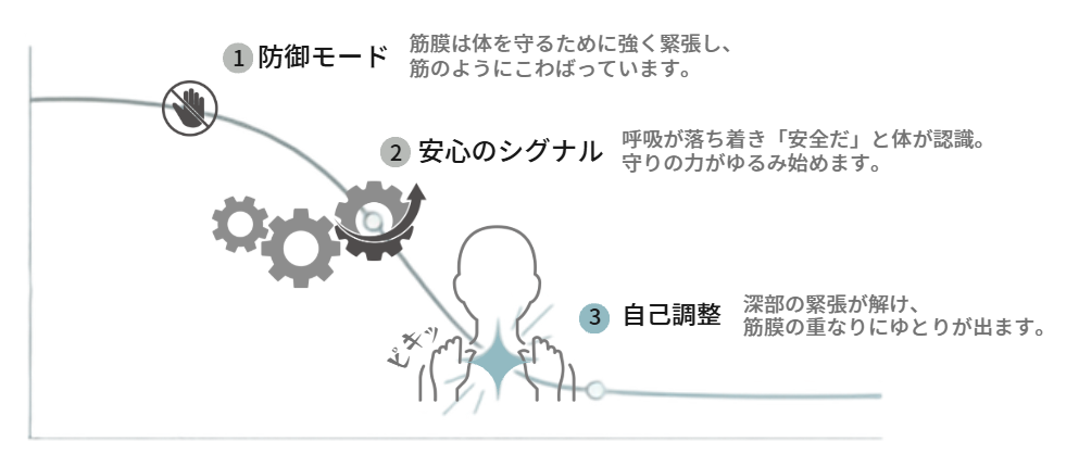 「任せていい」と体が理解した瞬間の音