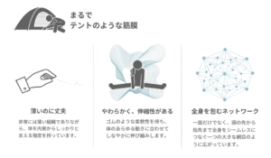 まるでテントのような筋膜