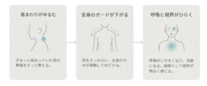 首まわりがゆるみ、全身の力みがほどけて呼吸や視界がひらく流れを示した図