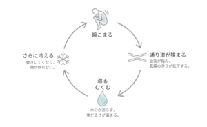 縮こまる、通り道が狭まる、滞る・むくむ、さらに冷えるという冷えむくみの悪循環を示した図
