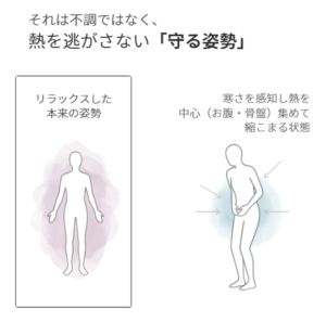 寒さで体が守る姿勢になり、お腹や骨盤まわりに熱を集めて下へ縮こまる状態を示したイラスト