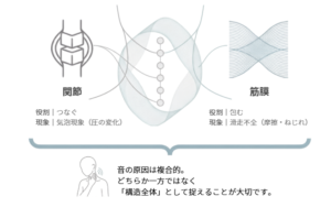 首が鳴る原因を関節の気泡現象と筋膜の滑走不全の両面から構造全体で捉える図