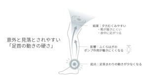 足首まわりの動きが少なくなることでふくらはぎのポンプ作用が働きにくくなり、夕方のむくみや足のつりにつながる流れを示した図