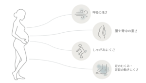 妊娠中に起こりやすい呼吸の浅さ、腰や背中の重さ、しゃがみにくさ、足のむくみや足首の動きにくさを示した図
