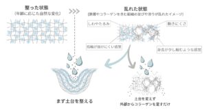 整った状態と乱れた状態を比較し、筋膜やコラーゲンを含む組織の土台を整える大切さを示した図