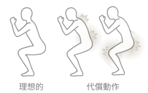 スクワットの理想的な動きと、別の筋肉で補う代償動作の比較