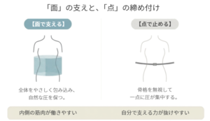 胴まわりを面で支える帯と、一点に圧が集中する細いベルトの違い