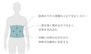 帯が肋骨の下から骨盤の上までを広い面で包み、体幹を支える構造