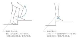 階段を上るときに必要な足首の前への動きと、足首が硬く途中で止まる状態