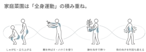 しゃがむ、立ち上がる、ハサミを使う、鉢を持つなど家庭菜園の全身動作
