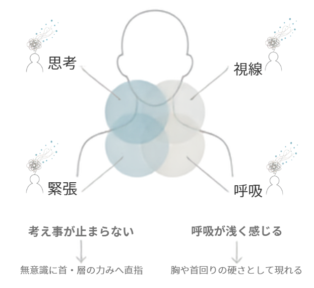 首まわりに思考・視線・緊張・呼吸が重なり、体の硬さとして表れる流れを示した図