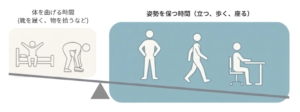 腹直筋は体を曲げる動きだけでなく、立つ・歩く・座る姿勢を保つ時間にも関わることを示した図